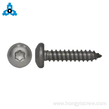 SS Rust Proof Thread Forming Torx Self-Tapping Screw